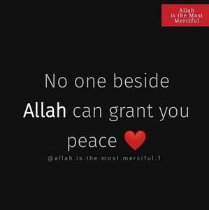 Meet your Posher, Zaituni